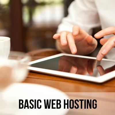 Basic Web Hosting (Discounted)